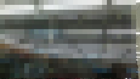 鹿児島　カメムシ　大量　発生