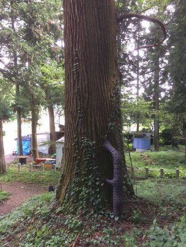 謎　オブジェ　神社　アート　中之条　トリックスター　浅野暢晴　中之条ビエンナーレ