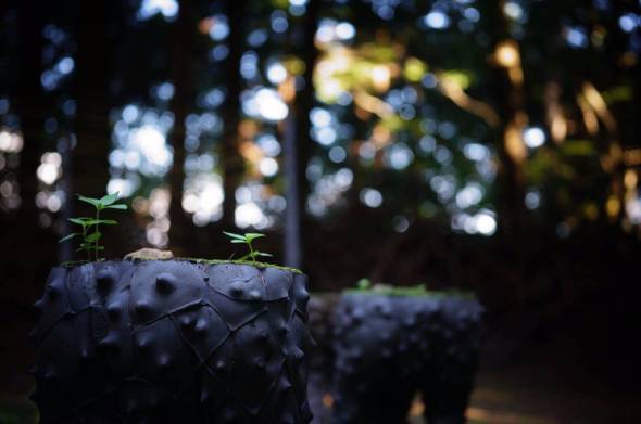 謎　オブジェ　神社　アート　中之条　トリックスター　浅野暢晴　中之条ビエンナーレ