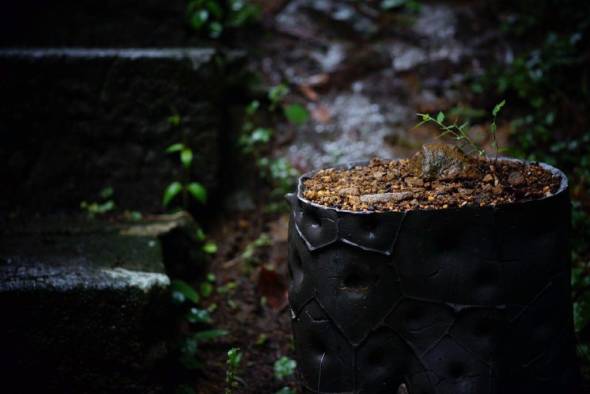 謎　オブジェ　神社　アート　中之条　トリックスター　浅野暢晴　中之条ビエンナーレ