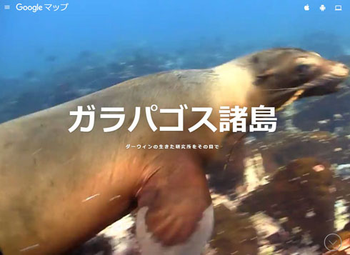 ガラパゴス