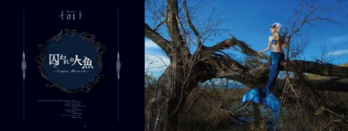 美しい写真絵本の世界 HASEO 写真展 闇王の写真絵本