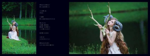 美しい写真絵本の世界 HASEO 写真展 闇王の写真絵本