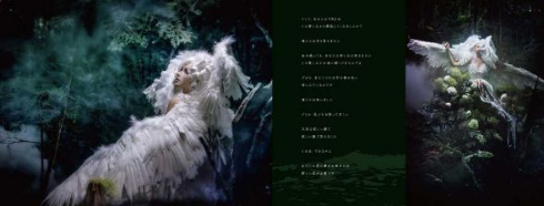 美しい写真絵本の世界 HASEO 写真展 闇王の写真絵本