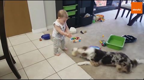 犬 ボール 赤ちゃん