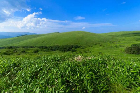 日本一 格好良い 進入禁止 標識 写真