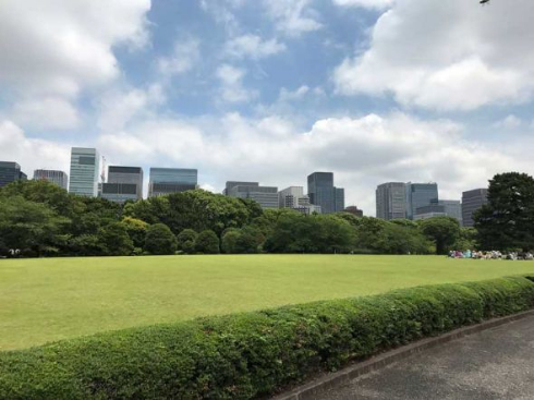日本 夏 フォトジェニック 観光スポット インスタ映え