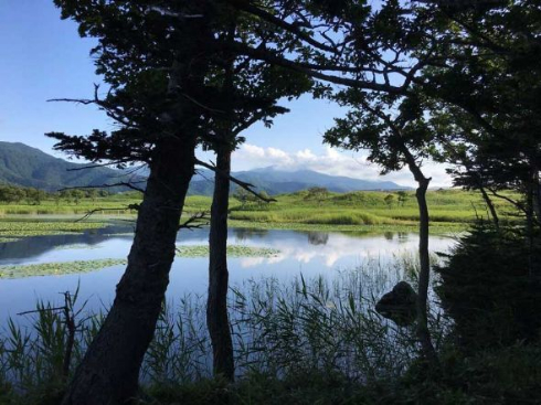 日本 夏 フォトジェニック 観光スポット インスタ映え