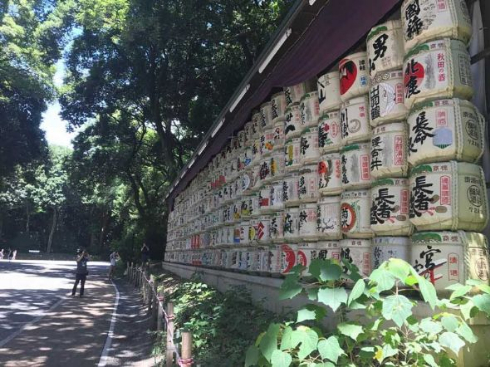 日本 夏 フォトジェニック 観光スポット インスタ映え