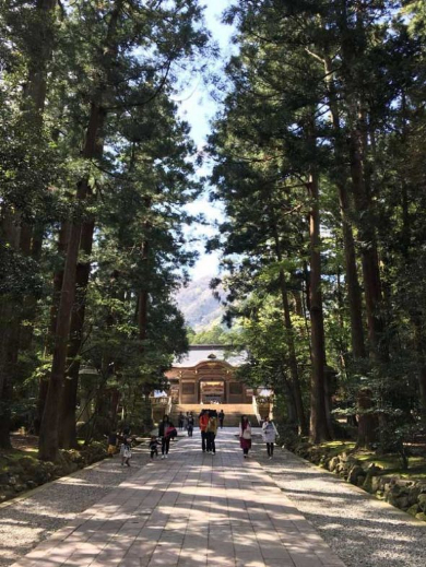 日本 夏 フォトジェニック 観光スポット インスタ映え