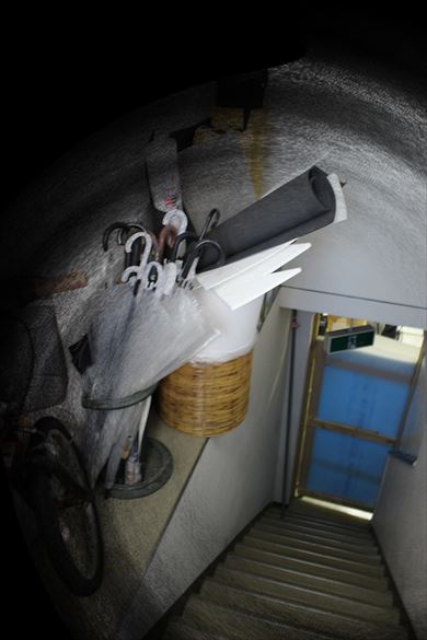 やしろあずきの調査