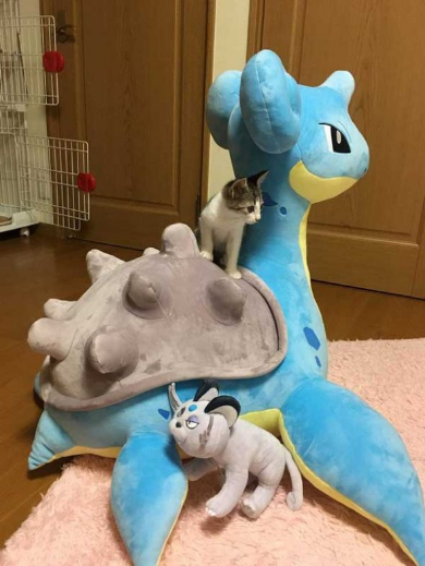 ポケモンセンター 超ビックサイズ ラプラス ぬいぐるみ 大きい ほぼ1/2スケールで大人でも乗れちゃう！「ポケモン」ラプラスが