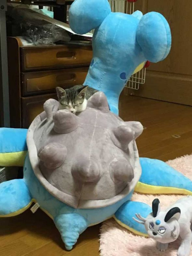 ラプラス 子猫 ぬいぐるみ