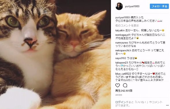 石田ゆり子 誕生日 年齢 48歳 Instagram