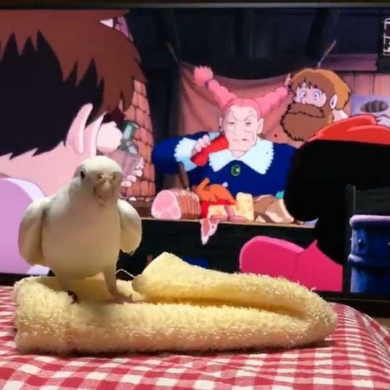 インコ トトロ 歌 映画 ラピュタ