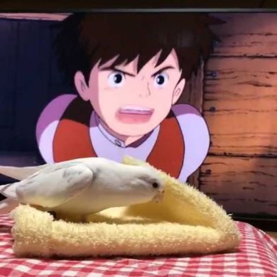 インコ トトロ 歌 映画 ラピュタ