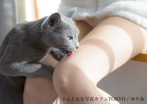 「ふともも写真の世界展」をモチーフにした「ふとももカフェ」