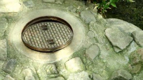 アライグマ マンホール アライさん