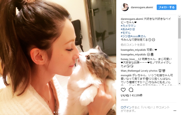 ダレノガレ明美 猫 虐待