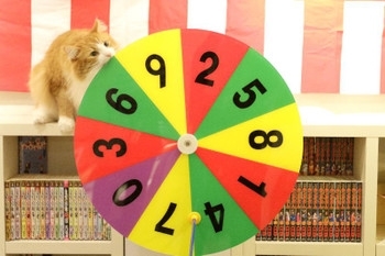 猫家大宮店