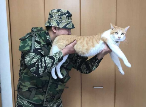 猫 ライフル 銃 コスプレ