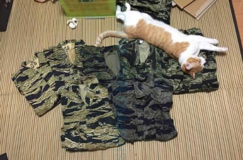 猫 ライフル 銃 コスプレ