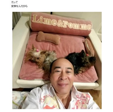 モト冬樹　犬 ヨークシャーテリア