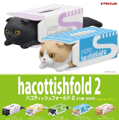 ハコティッシュフォールド