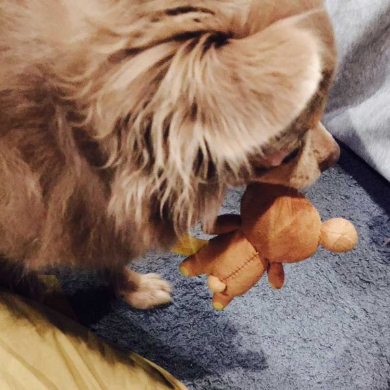 特大テディベア リラックマ 模型 子ども 説得