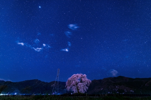 巾着田 寺坂棚田 鴻巣 濃溝の滝
