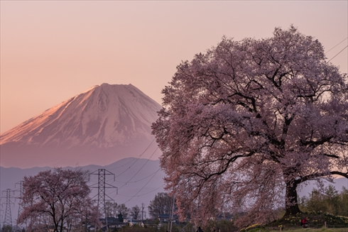巾着田 寺坂棚田 鴻巣 濃溝の滝