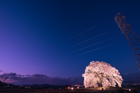 巾着田 寺坂棚田 鴻巣 濃溝の滝
