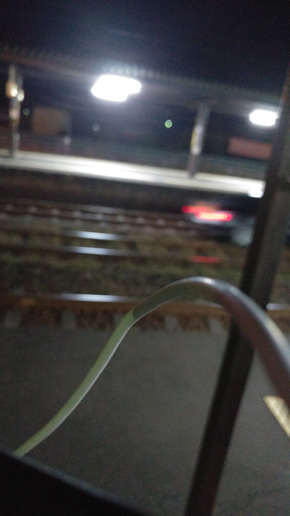 高齢者男性（83歳）の運転する乗用車が、JR北海道室蘭線の線路を侵入、走行