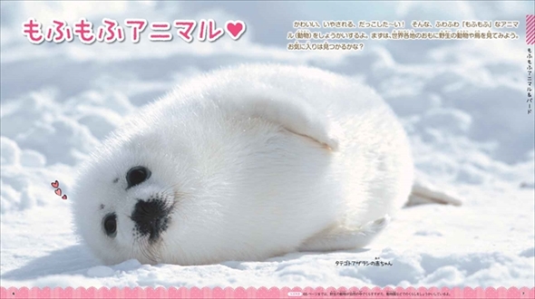 学研の図鑑・もふもふ動物
