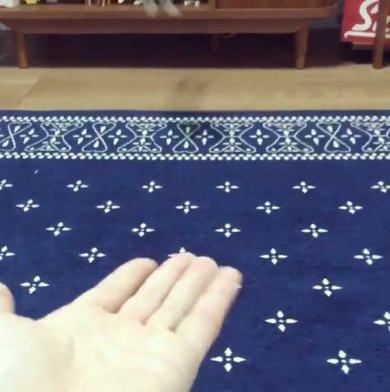 ショウガラゴ ピザトル ワンバウンド ジャンプ