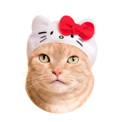 奇譚クラブ ねこのかぶりもの サンリオ キティ