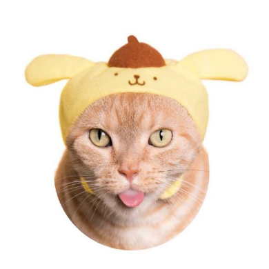 奇譚クラブ ねこのかぶりもの サンリオ キティ