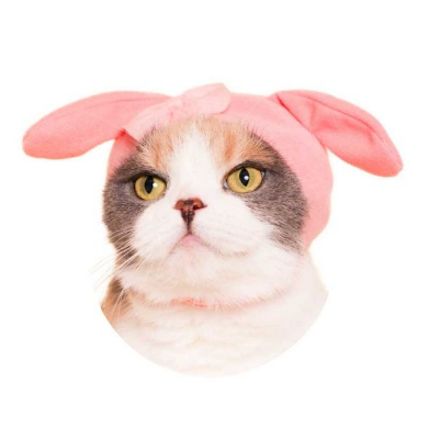 奇譚クラブ ねこのかぶりもの サンリオ キティ