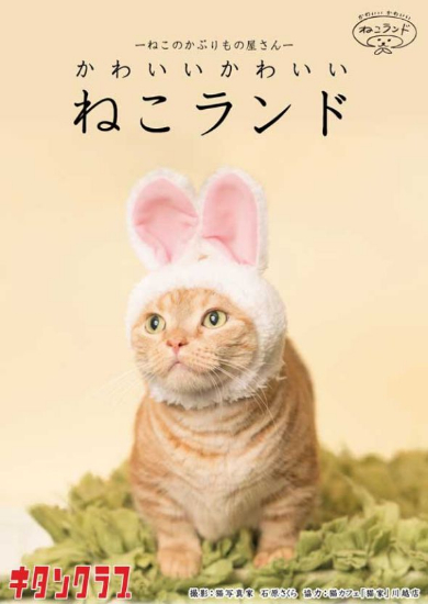 奇譚クラブ ねこのかぶりもの サンリオ キティ