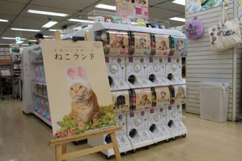 奇譚クラブ ねこのかぶりもの サンリオ キティ