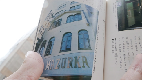 昔のガイドブック道頓堀ピップ