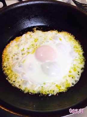 チーズエッグ ねとめし たまご チーズ