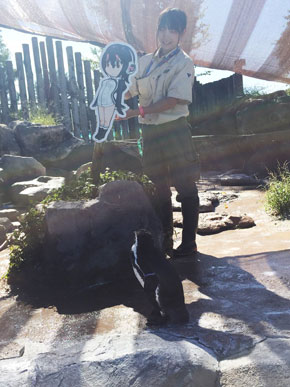 けもフレファンに愛された「二次元に恋したペンギン」グレープくんが死亡