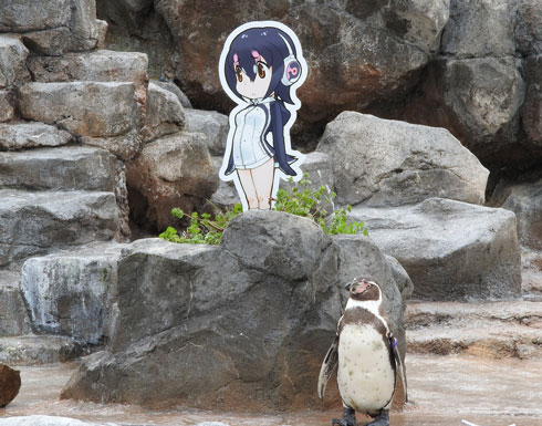 けもフレファンに愛された「二次元に恋したペンギン」グレープくんが死亡