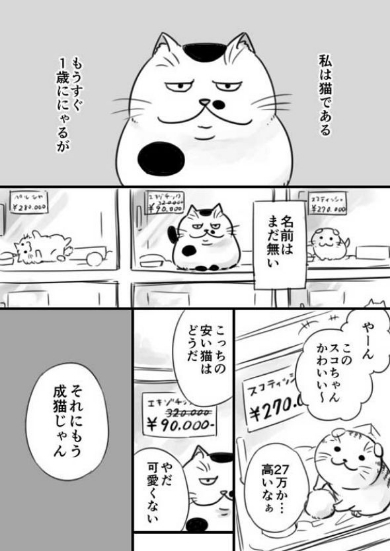 おじさまと猫 漫画 ふくまる 売れ残り Twitter