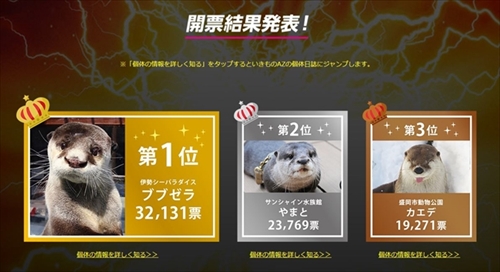 カワウソゥ選挙