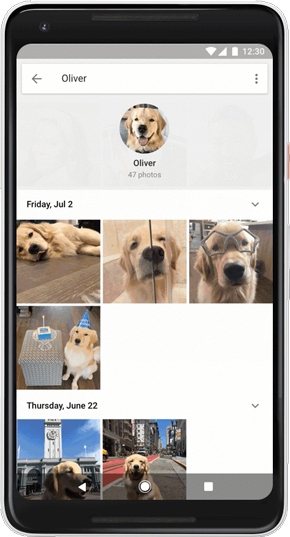 Googleフォト、犬や猫のラベル付け、グルーピングに対応