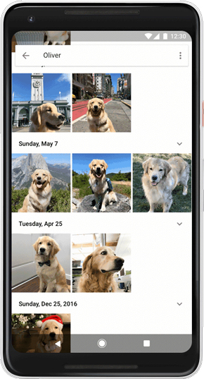 Googleフォト、犬や猫のラベル付け、グルーピングに対応