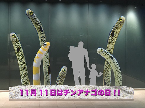 チンアナゴの日