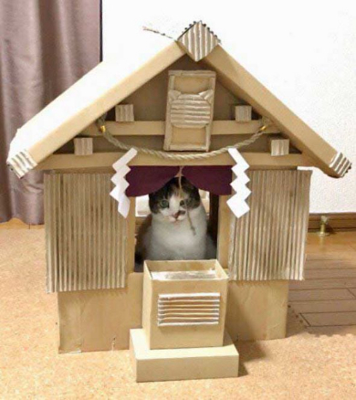 猫 御神体 ダンボール神社 母